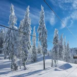 Solrig morgen i Rhodope-bjergene, skisportsstedet Pamporovo. Stolelift over fyrretræer. Snejanka TV-tårn i baggrunden. Koncept for sport og rekreation. Selektivt fokus.